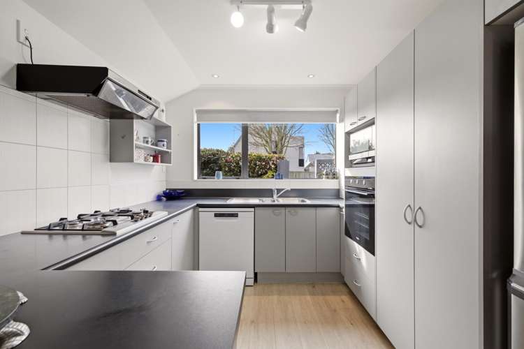 28D Croydon Street Sydenham_6