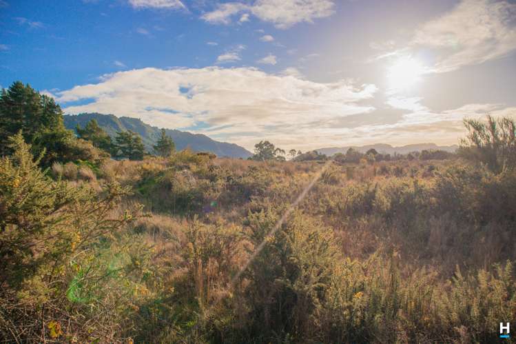 445 State Highway 7 Kaiata_15