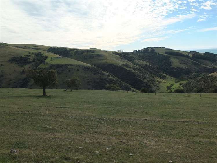 831 Chorlton Road Little Akaloa_28