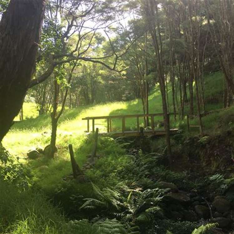 473 Kauaeranga Valley Road Thames_42