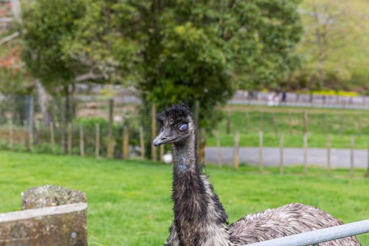 McLaren Falls Road Omanawa_14