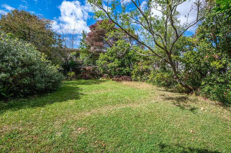 59 Webster Avenue Mount Roskill_2