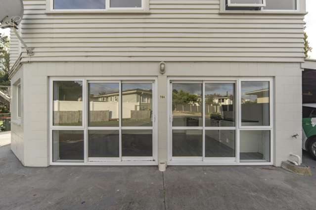 78A Ranui Street Dinsdale_1