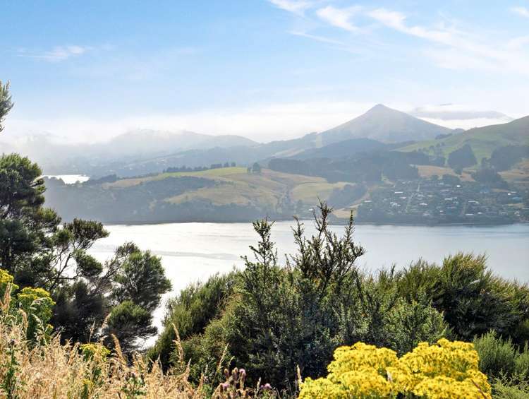 65 Kakapo Street Saint Leonards_9