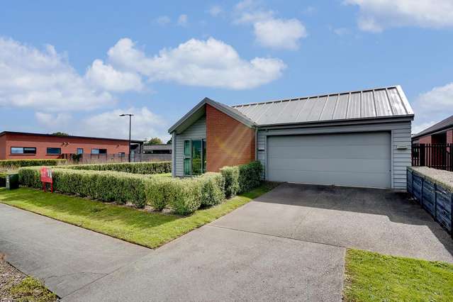 Separate Wings, Infinite Options!