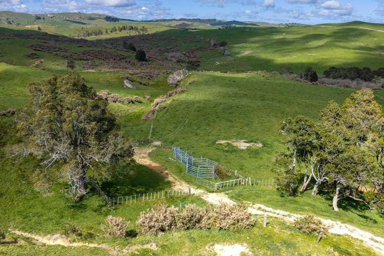 1698 Hetherington Road Huntly_27