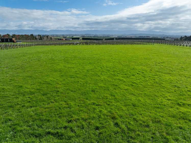 Lot 3 Willow Lane Martinborough_9