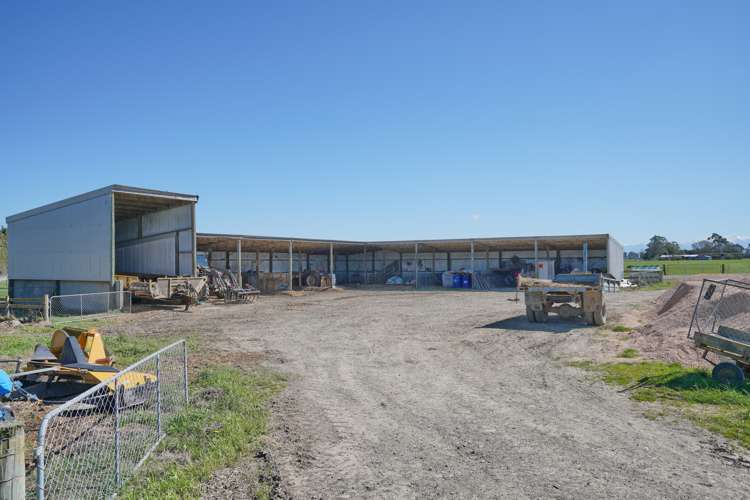 729 Terrace Road Bankside_7