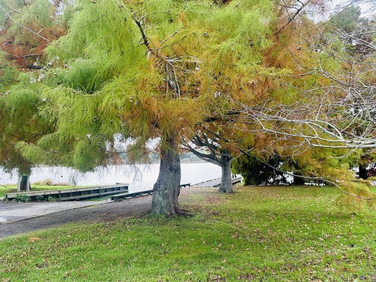 55 Russell Road Huntly_21