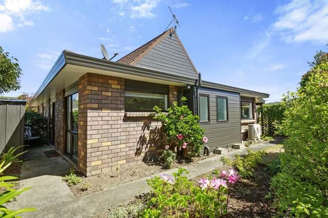 2/18 King Street Petone_1