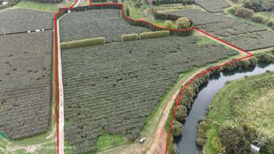 206 Casuarina Drive_1