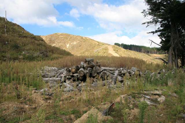 0n Tangahoe Valley Road Ohangai_4