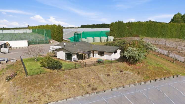 364 Te Matai Road Te Puke_14