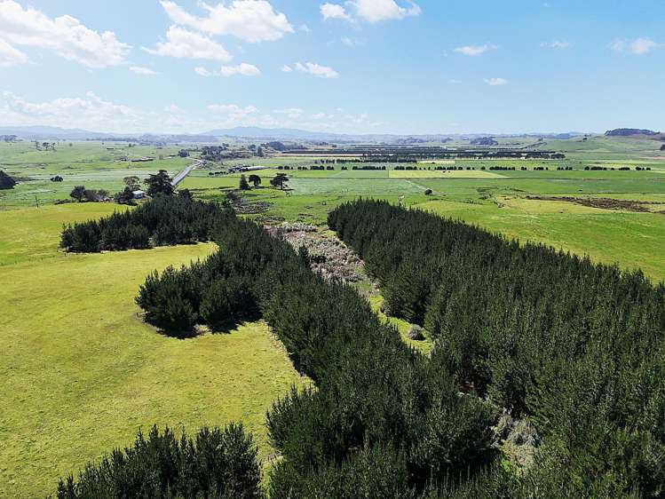 413a Baylys Coast Road Dargaville_16