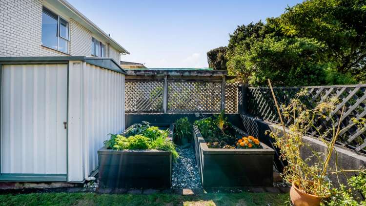 13B Hine Street New Plymouth_36