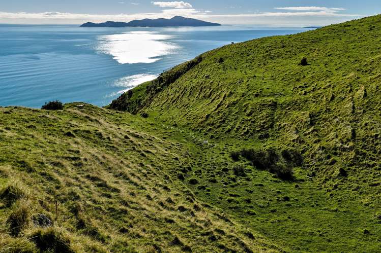 Lot 2,3 and 5/1275 Paekakariki Hill Road Paekakariki Hill_15