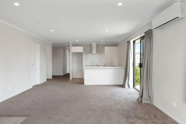 38 Nicolau Av Rolleston_4