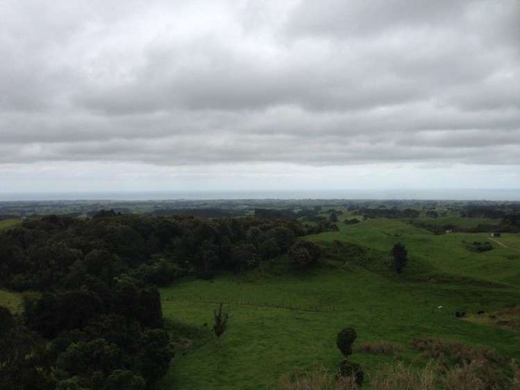 799 Dover Road Okato_15