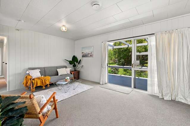 4 Diamond Street Pukehangi_2