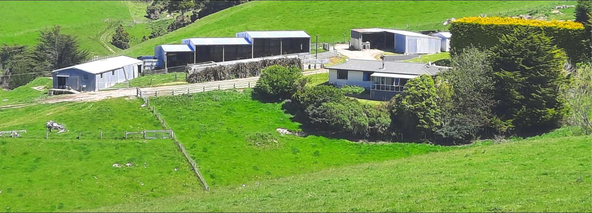 183 Gunn Road Waitepeka_0