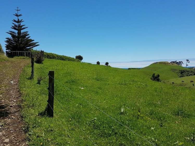 80 Koru Road Omata_27