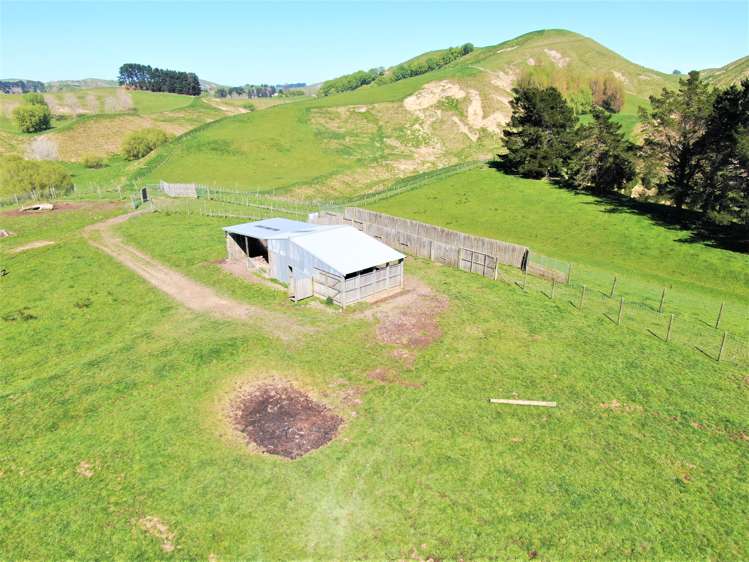 338 Te Awa Road Hawkes Bay_11