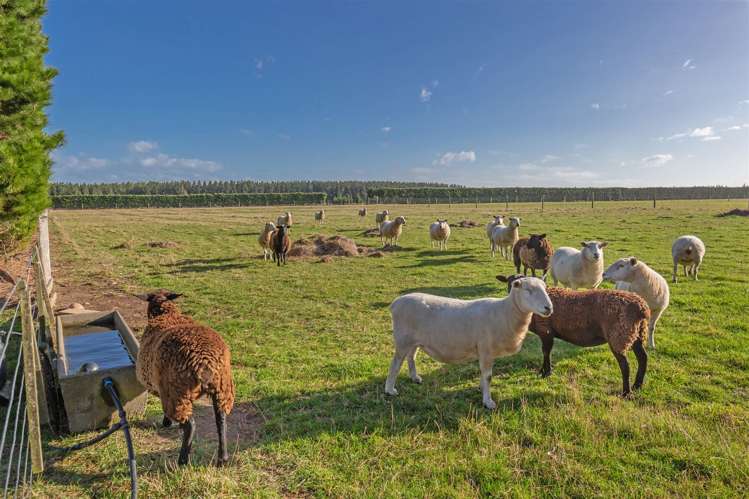 362 Brookside Road Burnham_17