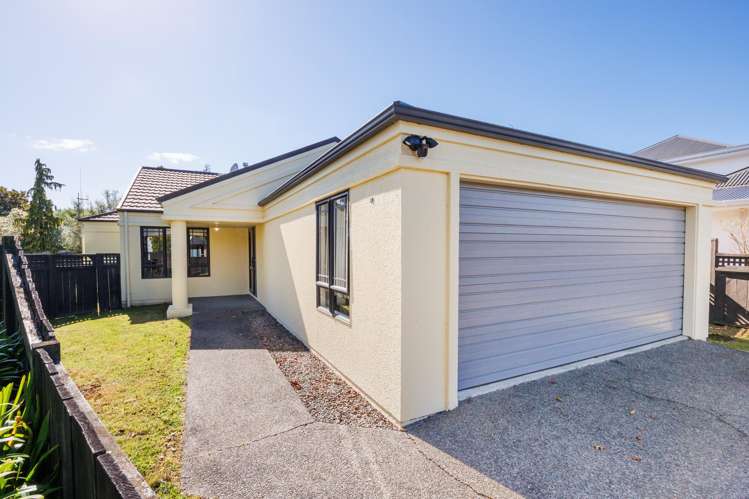 68 Clifton Terrace Fitzherbert_16