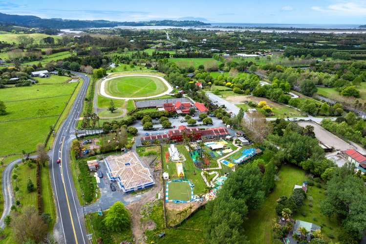 Leigh Road Matakana_16