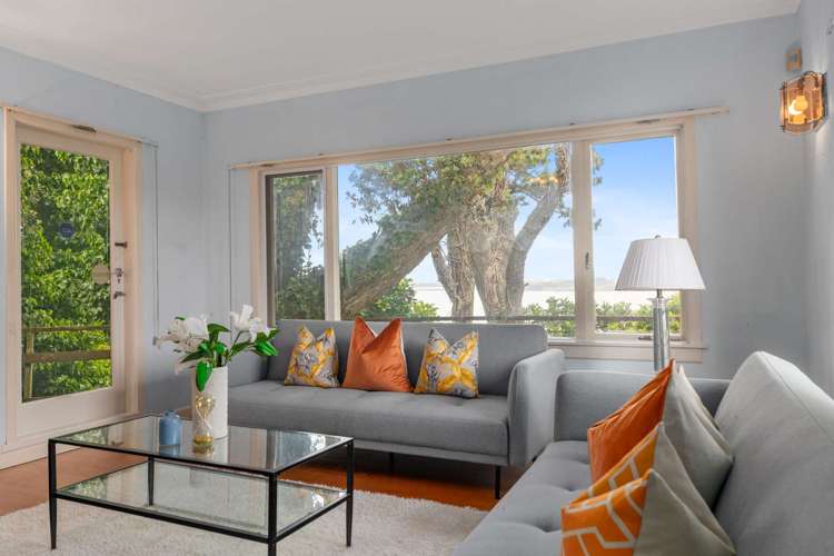 368 Hillsborough Road Hillsborough_5