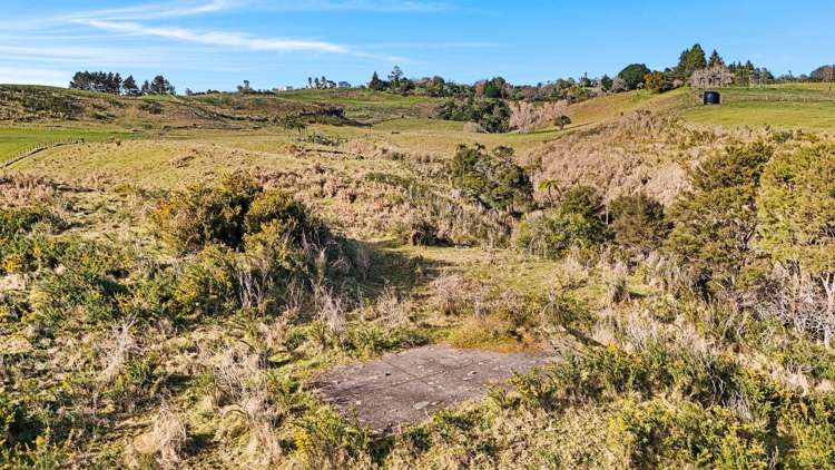 110 Ross Road and 20 Laurel Drive Whakamarama_18