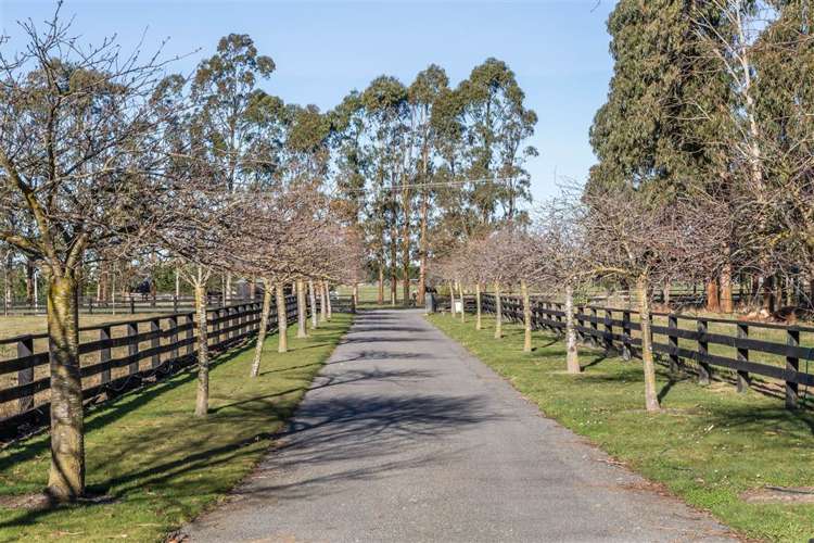 1215 Two Chain Road Swannanoa_14