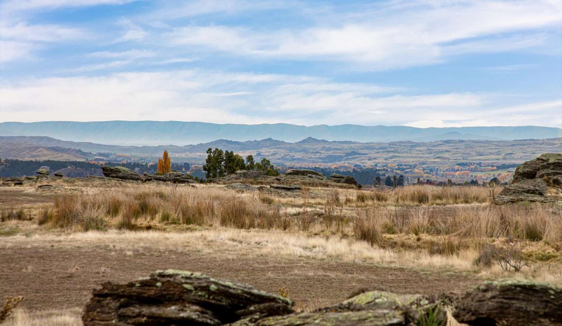 15 You Chow Lane Alexandra_0