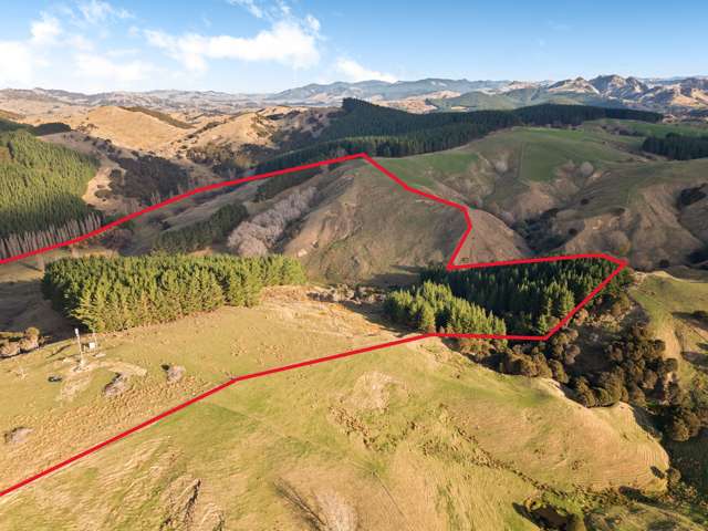 5 Manawa Road Tinui_3