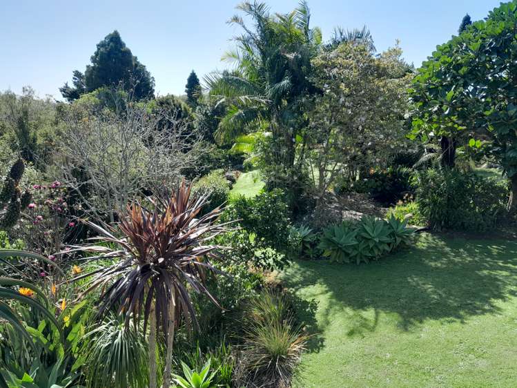 16 Limelight Lane Kerikeri_16