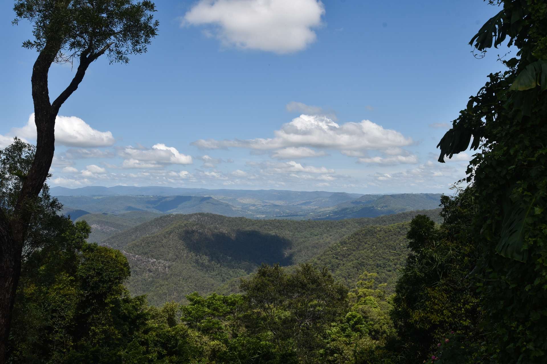 100 Coomera Gorge Drive Tamborine Mountain_0