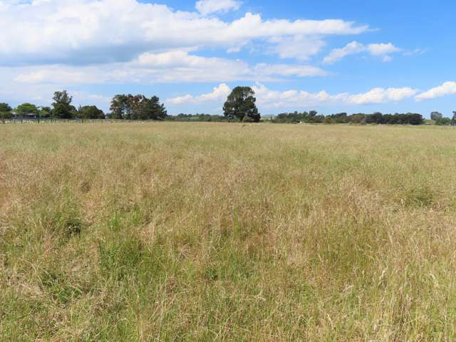 103A Miller Street Dannevirke_3