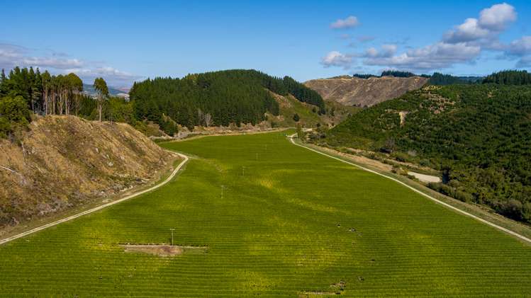 Northbank Road Kaituna_13