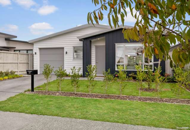47 Nganui Avenue Conifer Grove_1