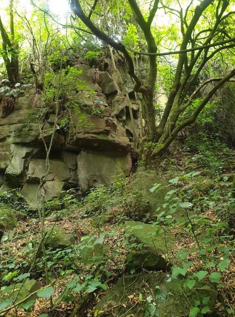 25 Lewthwaites Road Little River_18