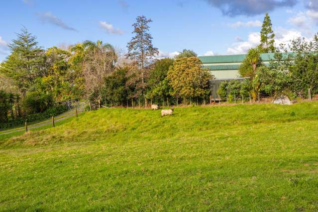 981 Kaipara Flats Road Kaipara Flats_2