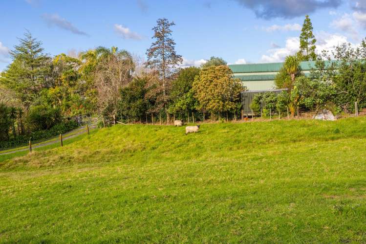 981 Kaipara Flats Road_2