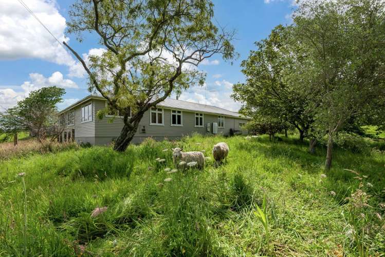 731 Clevedon Kawakawa Road Clevedon_27
