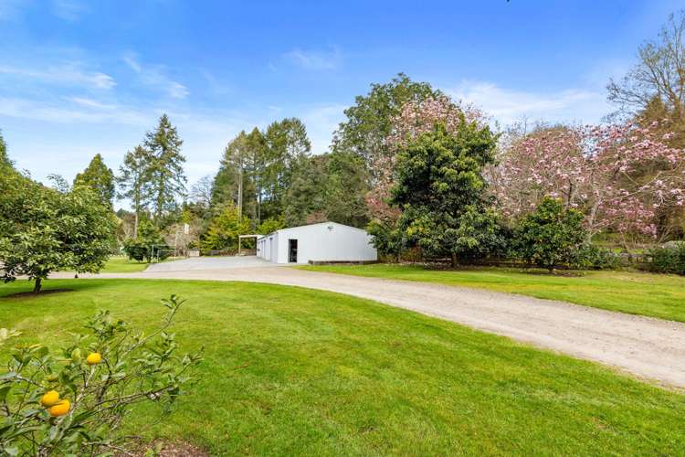 814A Allport Road Paengaroa_22