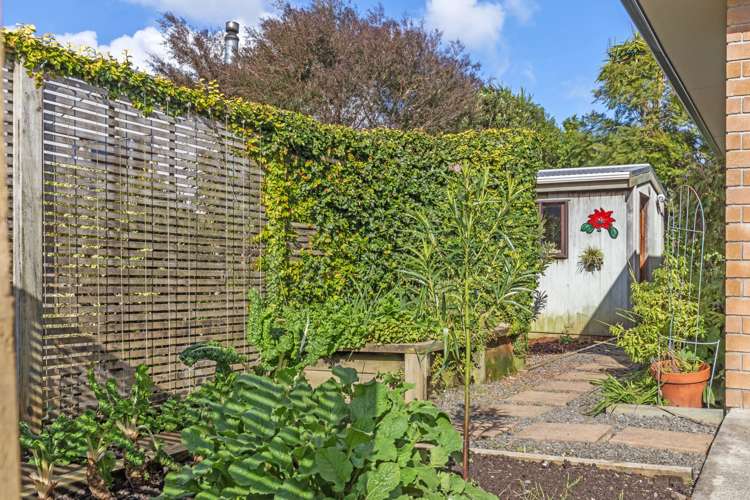 6 Robinia Place Snells Beach_5