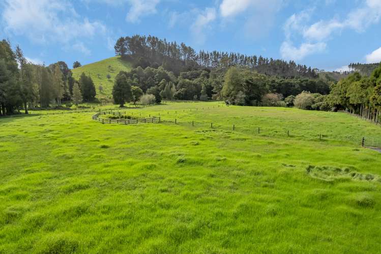 137 Harris Road Glenbervie_11