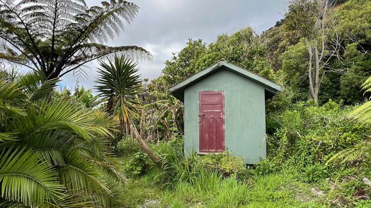 37 Nikau Road, State Highway 67 Hector_14