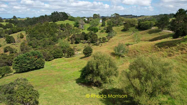 318 Franklin Road Paparoa_54