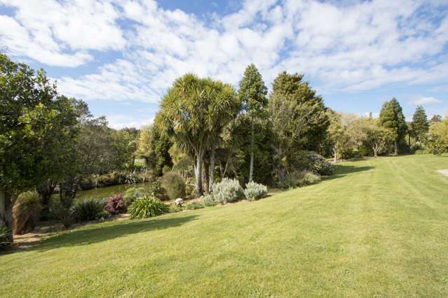 75a Ross Road Whakamarama_4