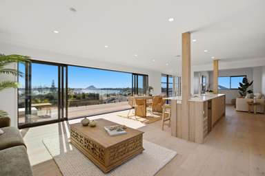 359 Maungatapu Road_1